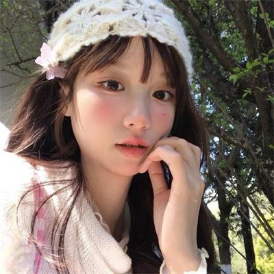 科搜研之女第24季